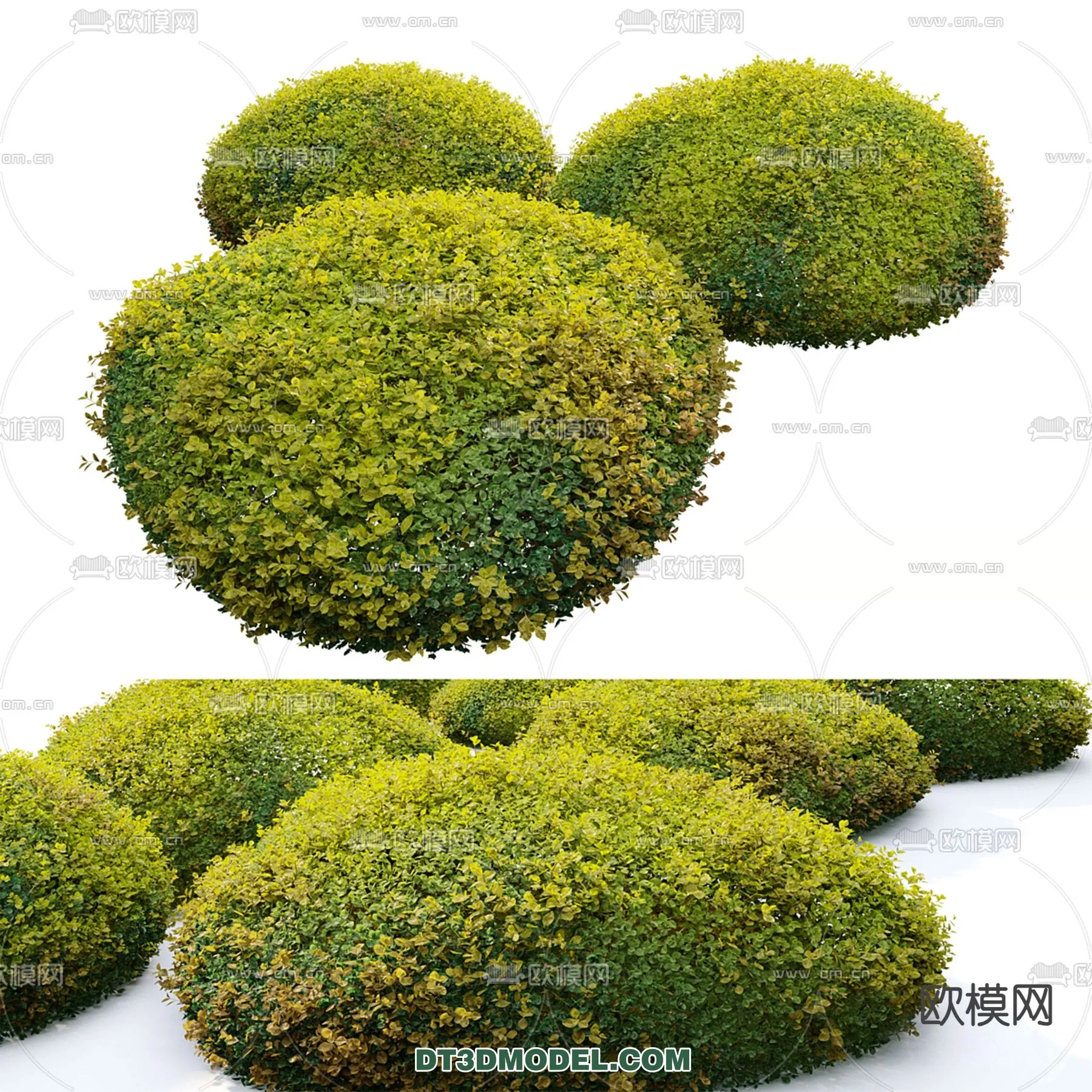 PLANTS - BUSH - VRAY / CORONA - 3D MODEL - 384