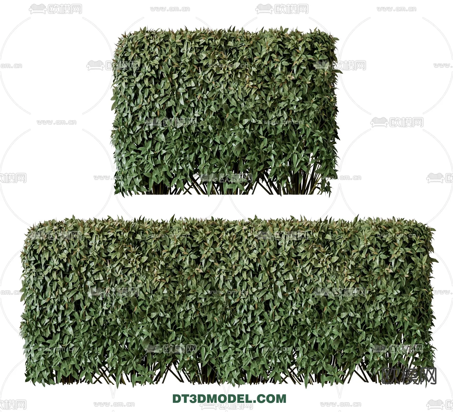 PLANTS - BUSH - VRAY / CORONA - 3D MODEL - 386