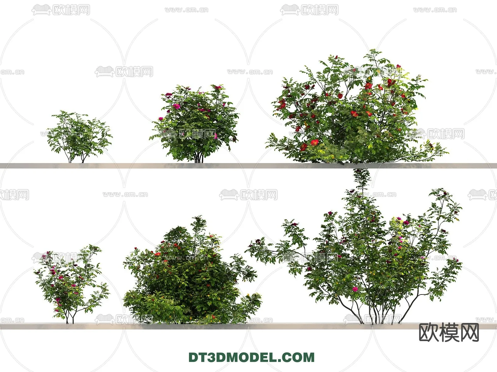 PLANTS - BUSH - VRAY / CORONA - 3D MODEL - 387