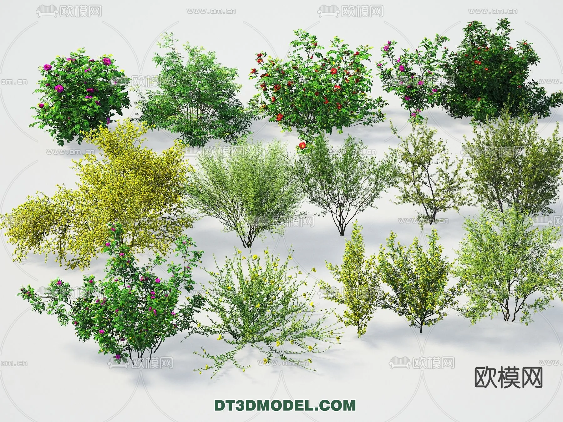PLANTS - BUSH - VRAY / CORONA - 3D MODEL - 388