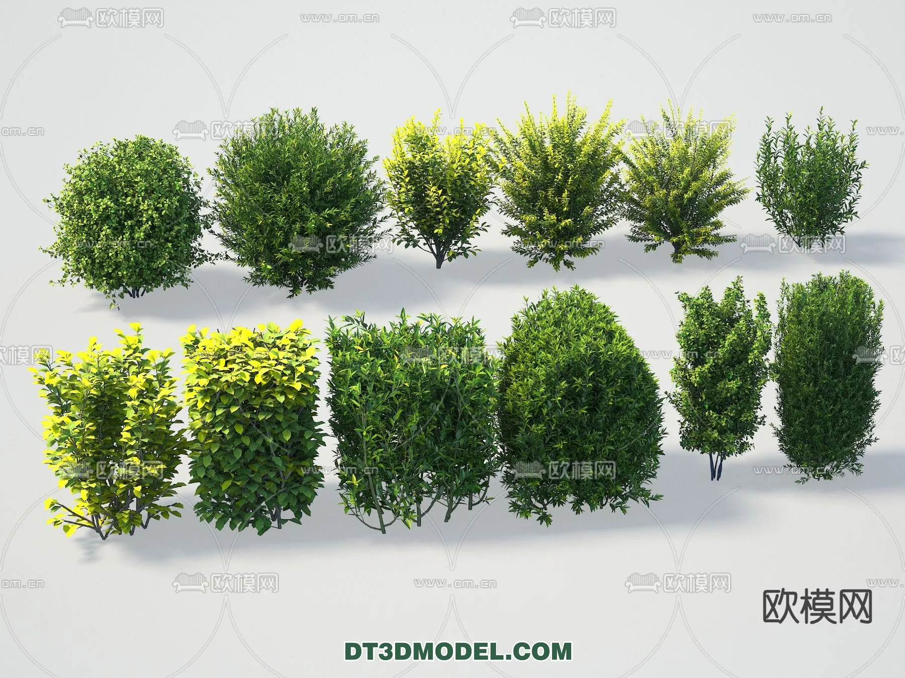 PLANTS - BUSH - VRAY / CORONA - 3D MODEL - 389