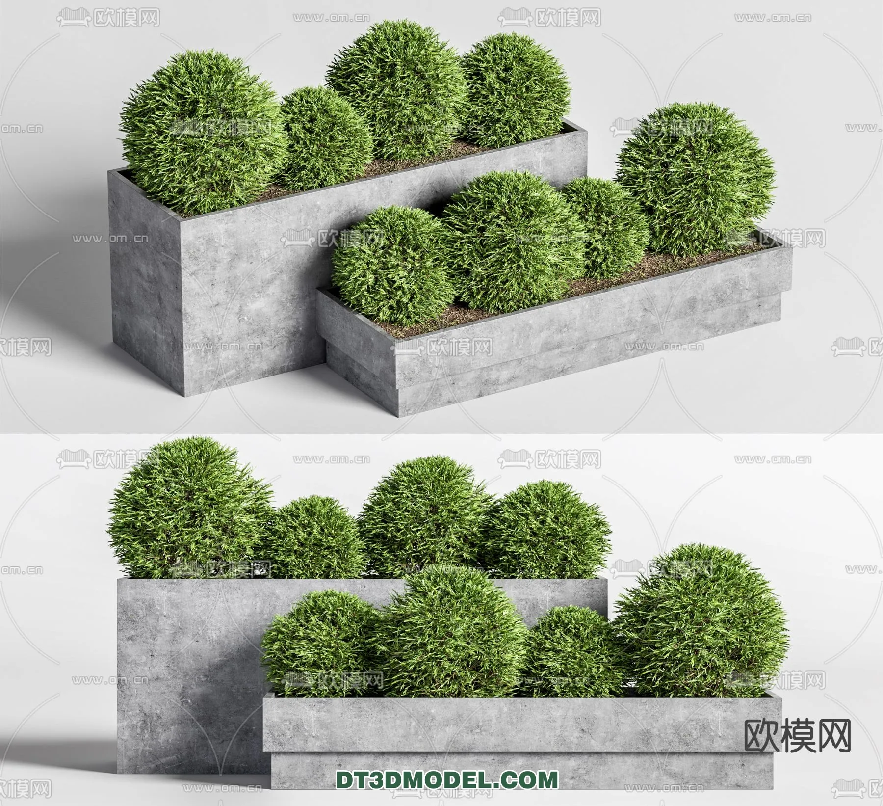 PLANTS - BUSH - VRAY / CORONA - 3D MODEL - 390