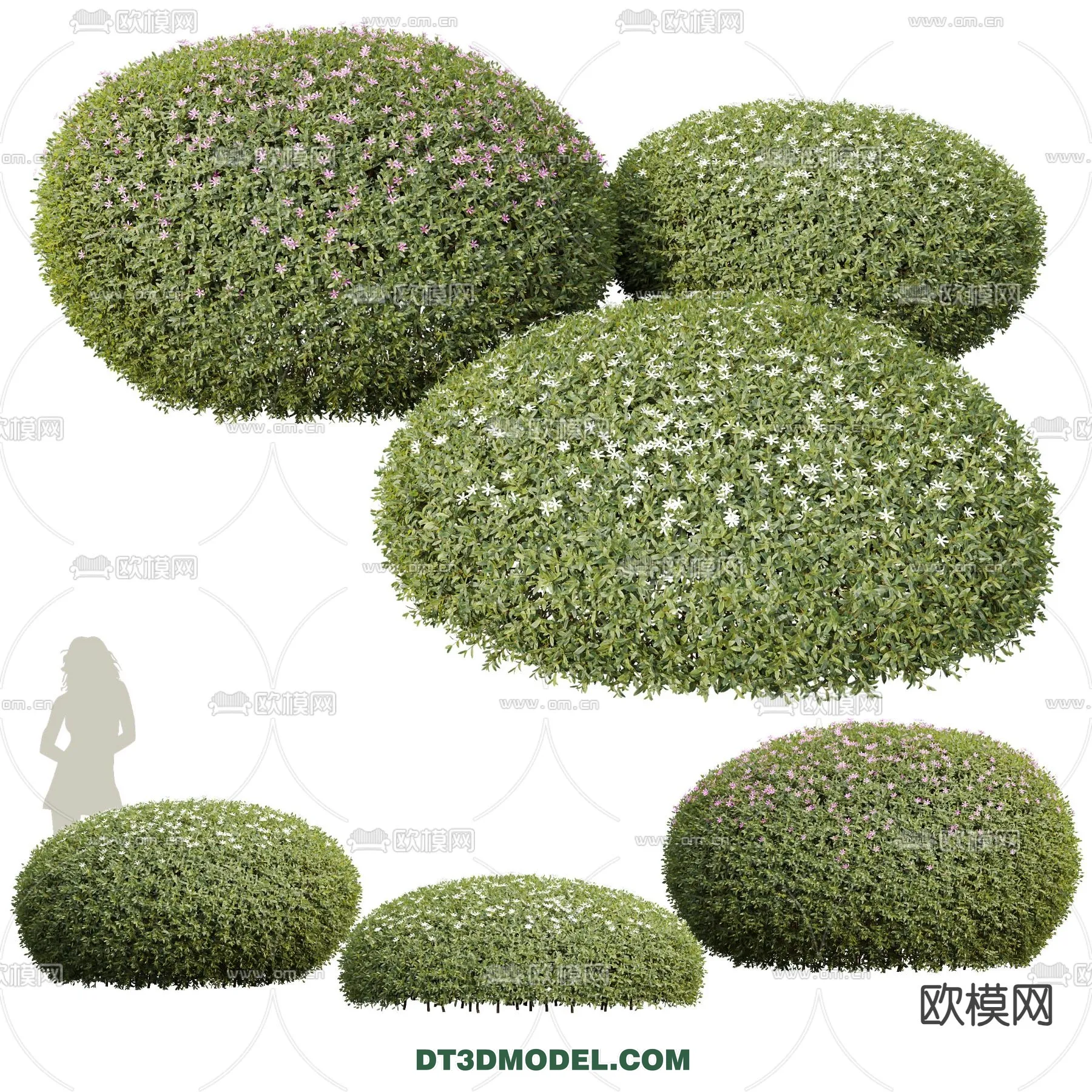 PLANTS - BUSH - VRAY / CORONA - 3D MODEL - 392