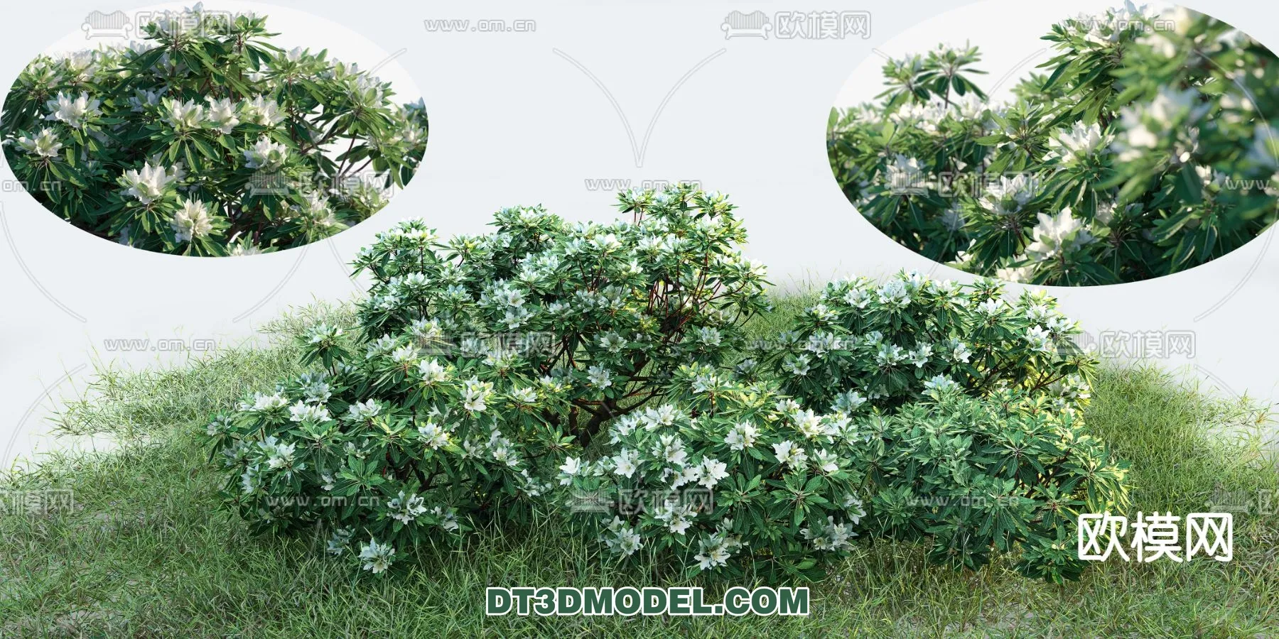PLANTS - BUSH - VRAY / CORONA - 3D MODEL - 393