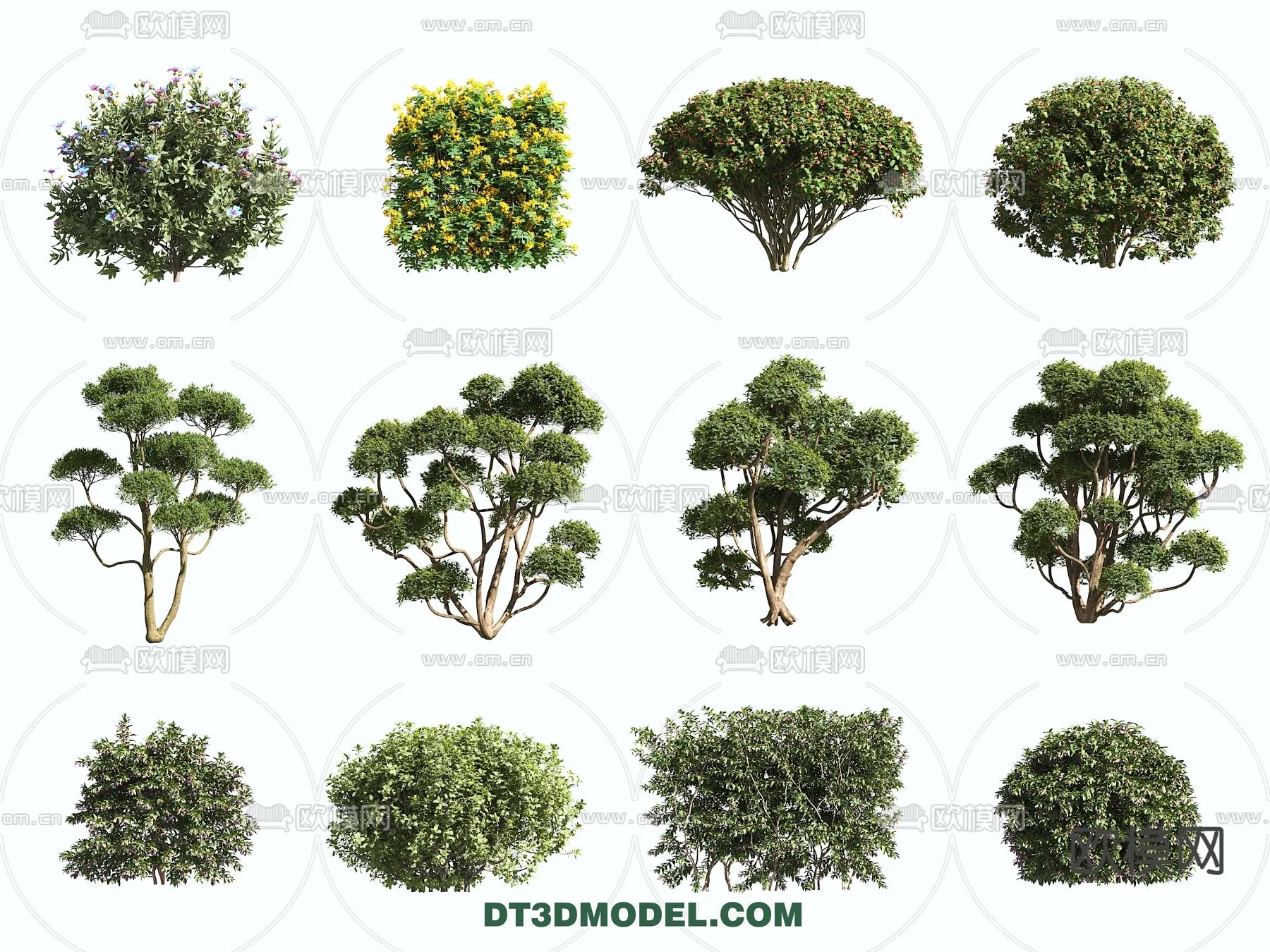 PLANTS - BUSH - VRAY / CORONA - 3D MODEL - 397