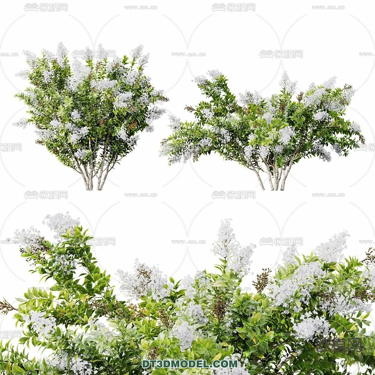 PLANTS - BUSH - VRAY / CORONA - 3D MODEL - 400