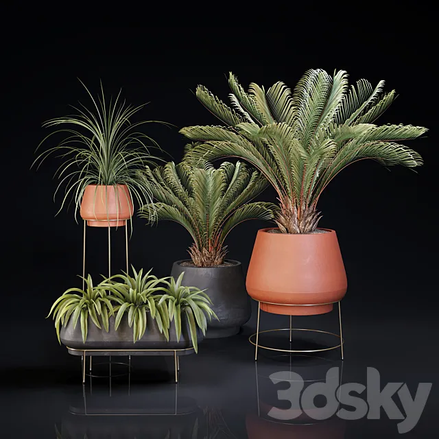 Plants collection 01 3DModel