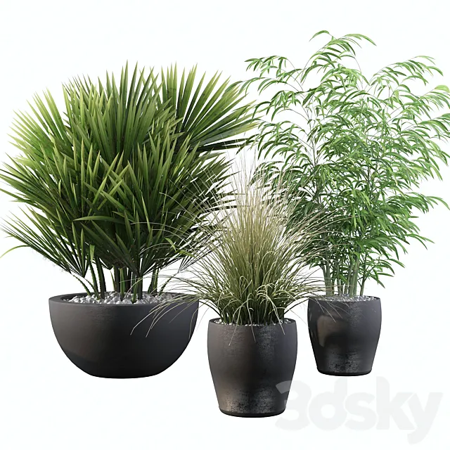 Plants collection 080 3DModel