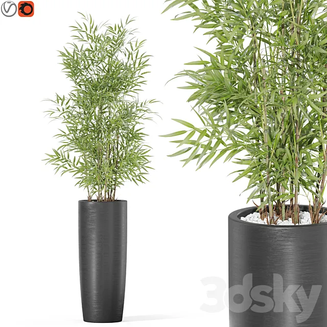 Plants collection 1009 3D Model