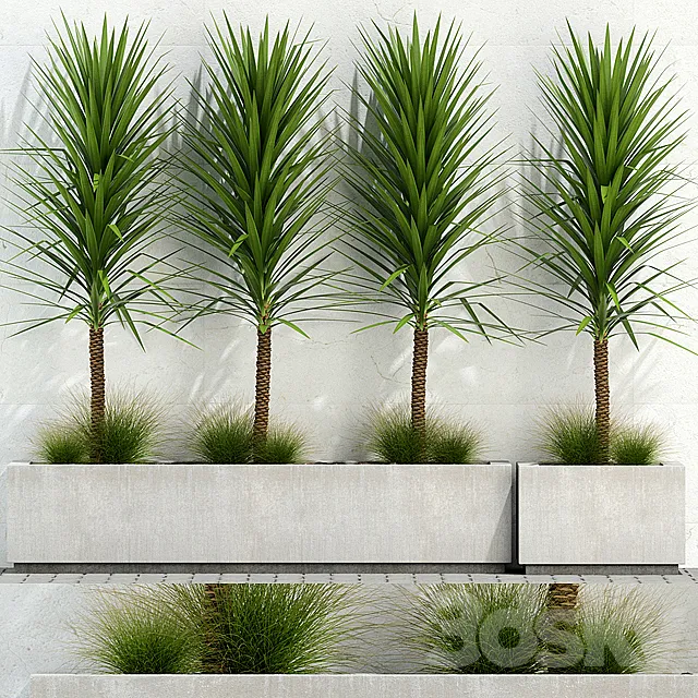 Plants collection 105 3D Model