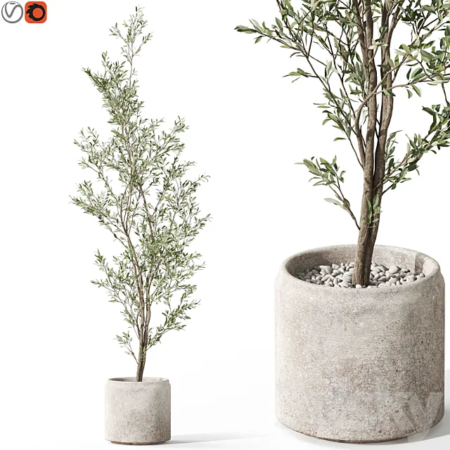 Plants collection 1050 3D Model