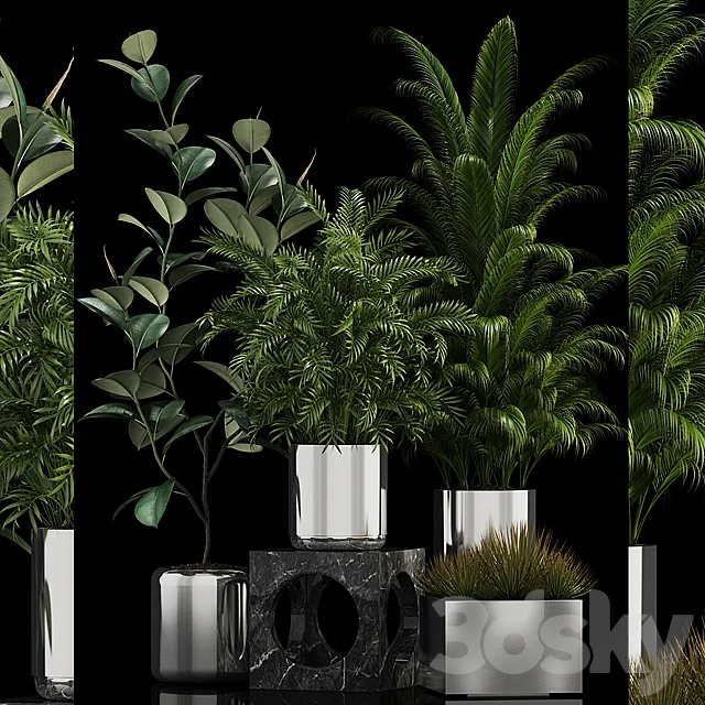 Plants collection 106 3DModel