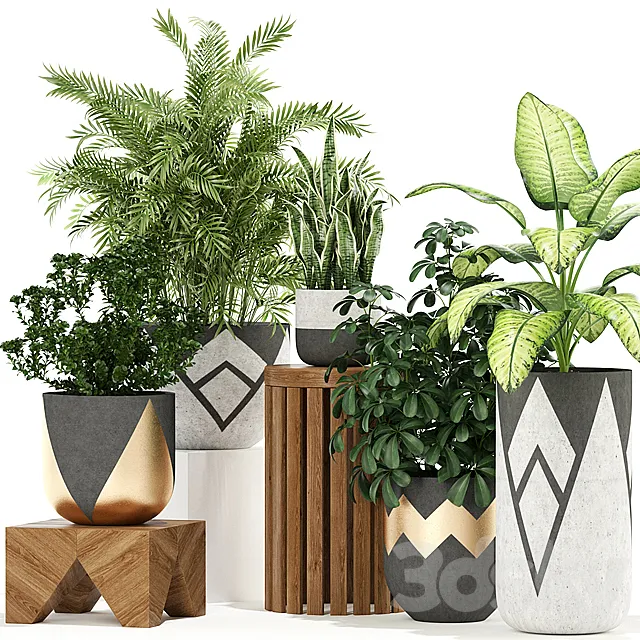 Plants collection 109 3D Model