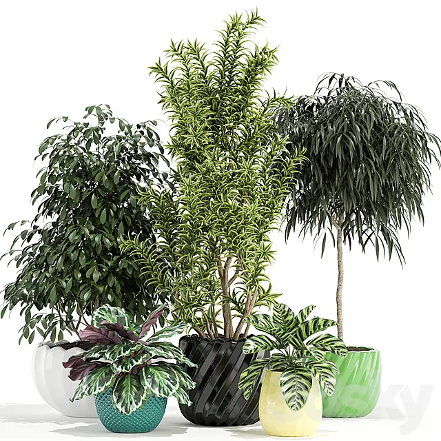 Plants collection 111 3DModel