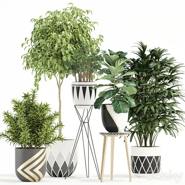 Plants collection 112 3D Model