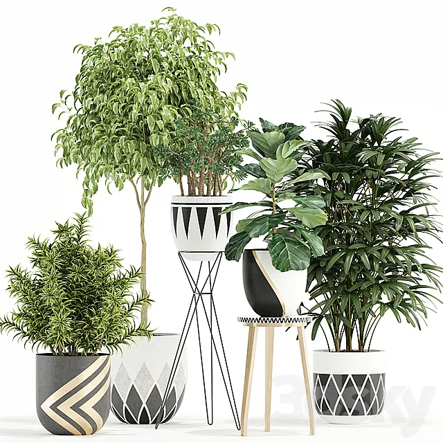 Plants collection 112 3DModel
