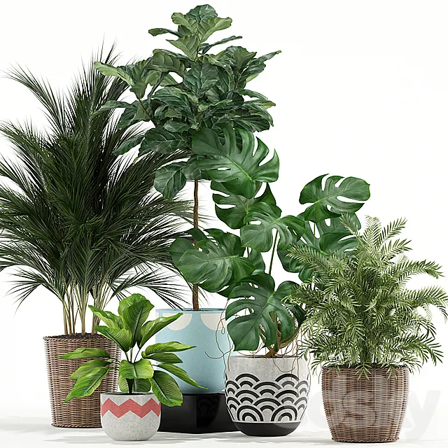 Plants collection 115 3D Model