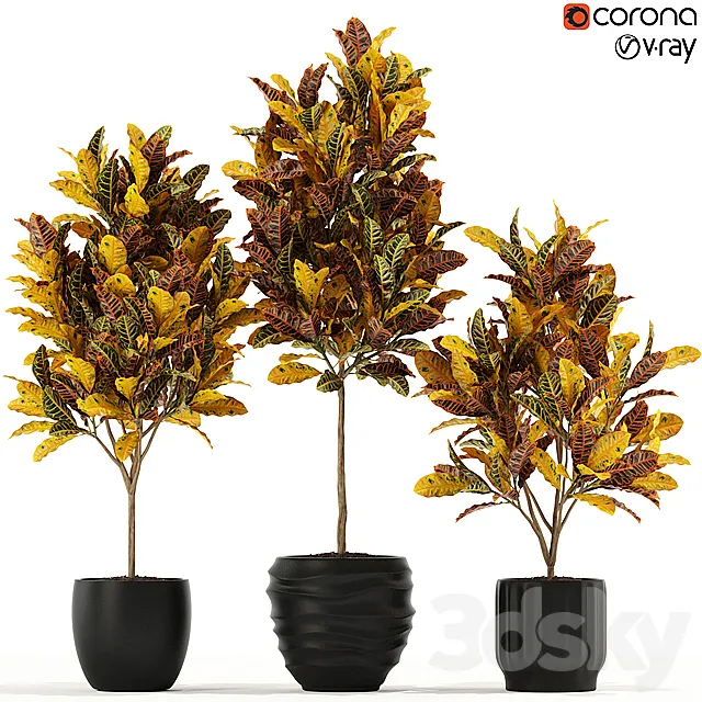 Plants collection 120 3DModel