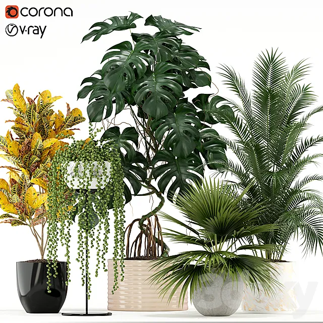 Plants collection 124 3DModel