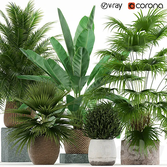 Plants collection 125 3DModel