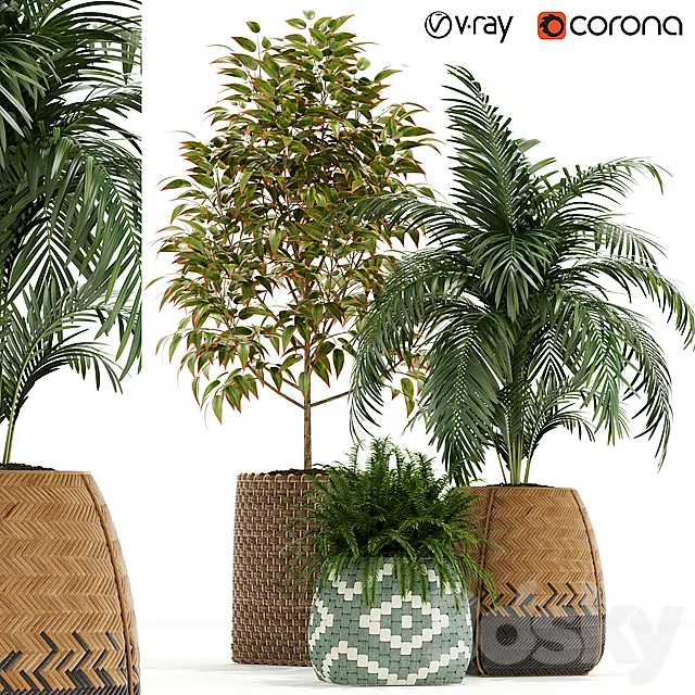 Plants collection 126 3DModel