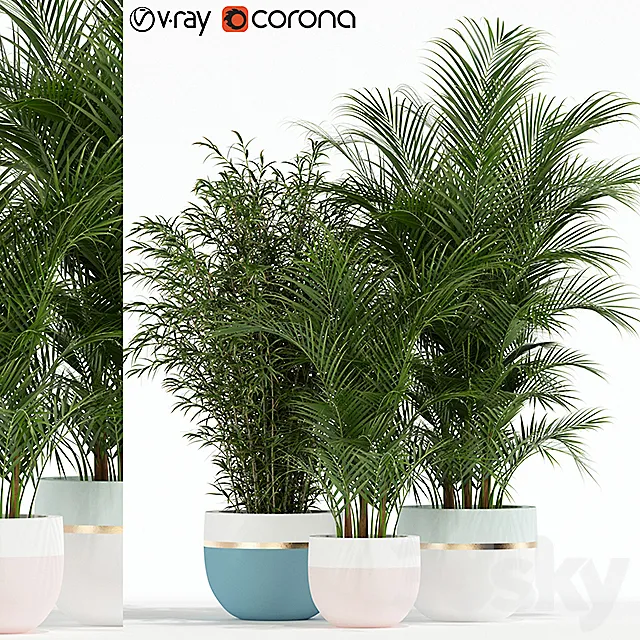 Plants collection 136 3DModel