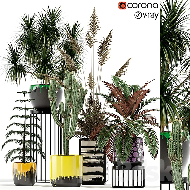 Plants collection 139 3D Model