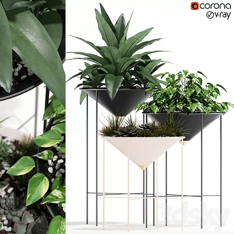 Plants collection 141 Artica 3D Model