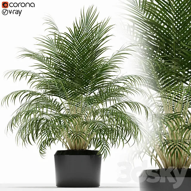 Plants collection 149 3D Model