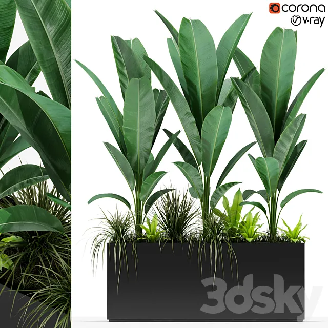 Plants collection 150 3DModel