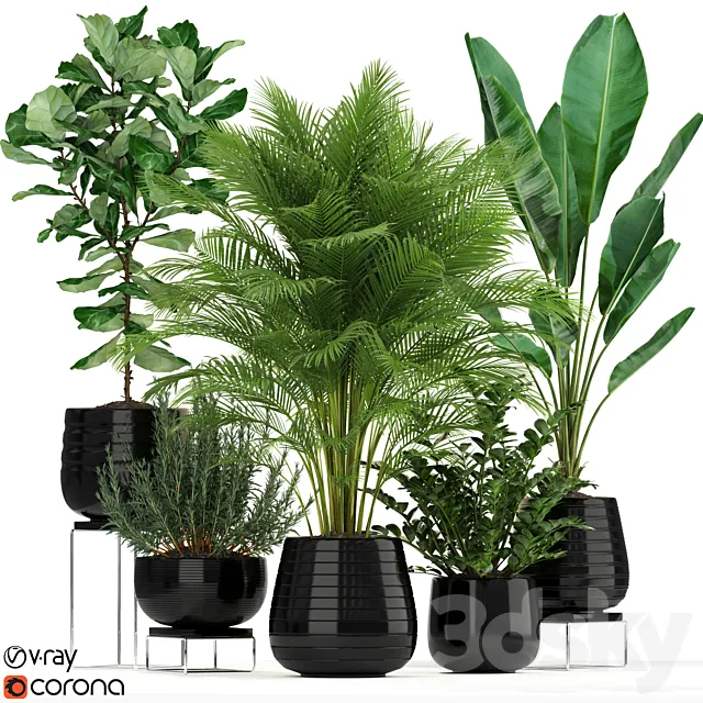 Plants collection 180 3DModel