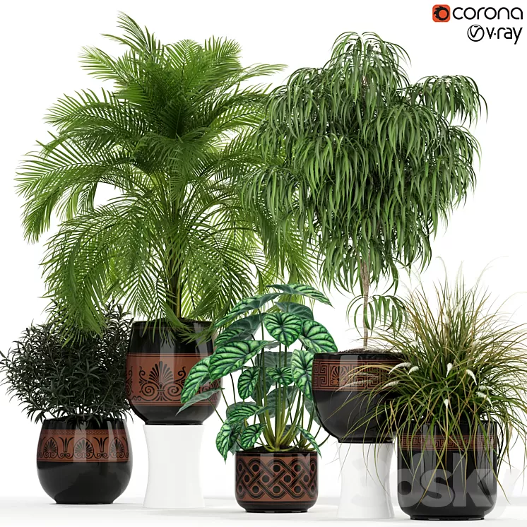 Plants collection 182 3D Model