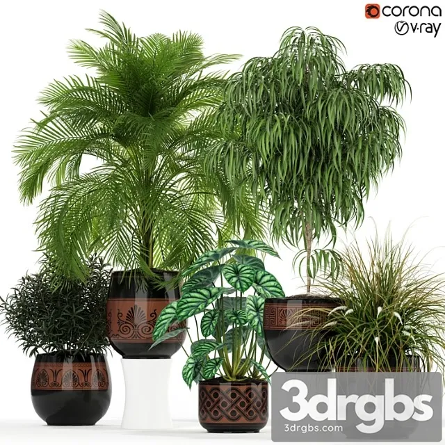 Plants collection 182