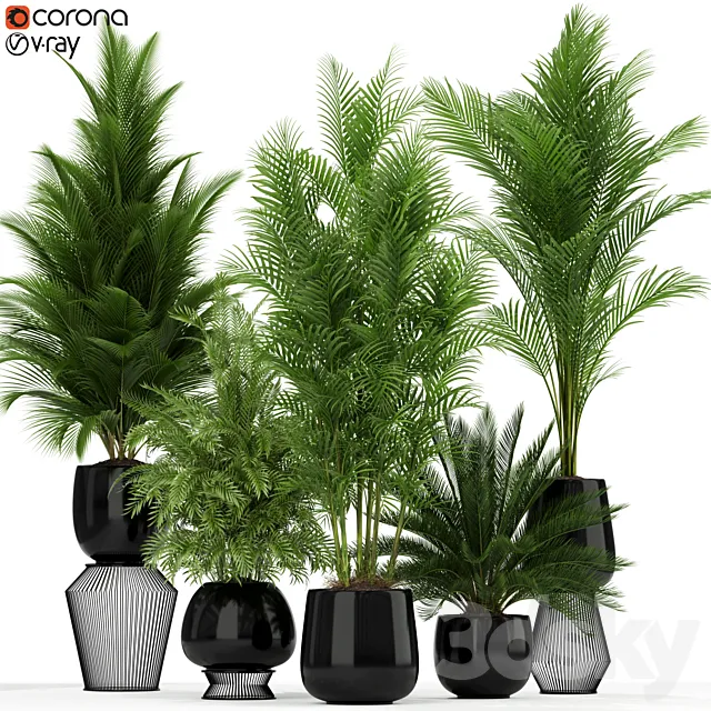 Plants collection 184 3D Model
