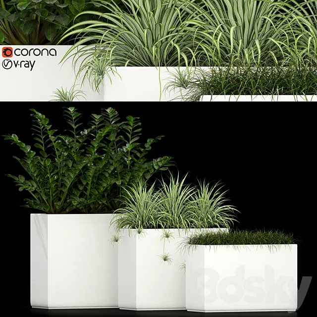 Plants collection 186 3D Model