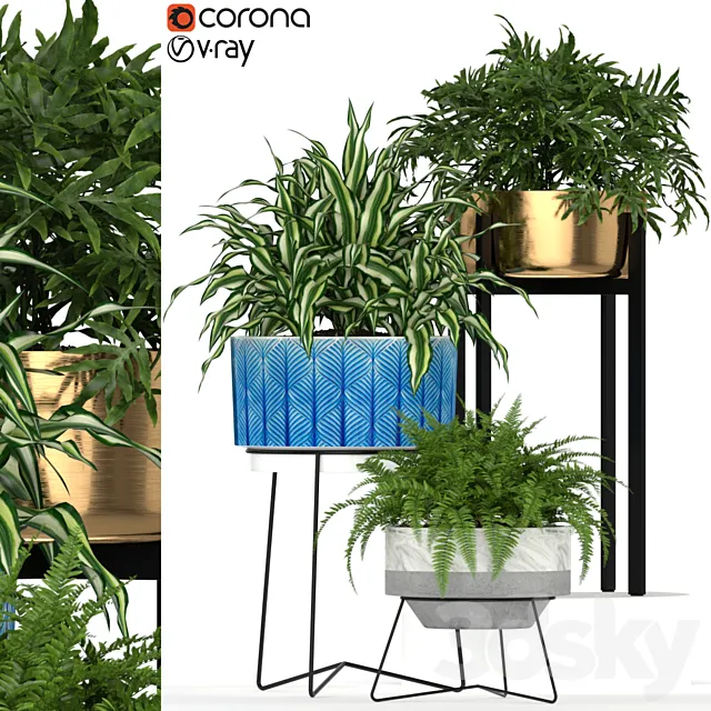 Plants collection 191 3D Model