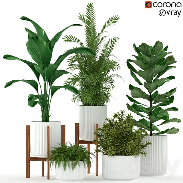 Plants collection 194 3DModel