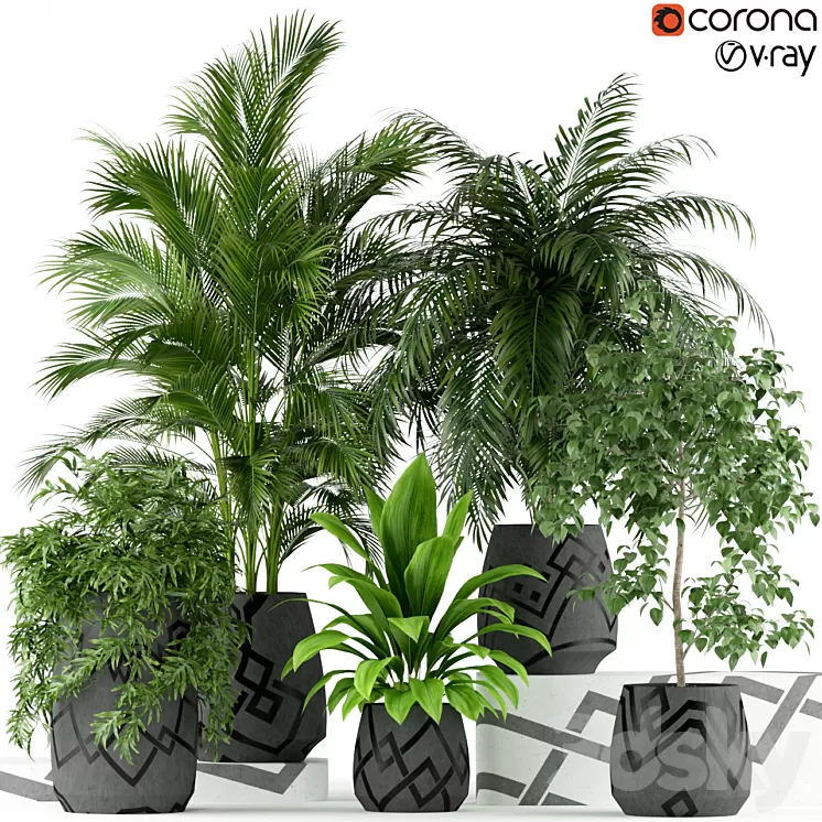 Plants collection 195 3D Model