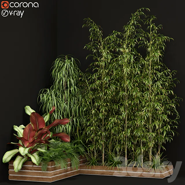 Plants collection 201 3DModel
