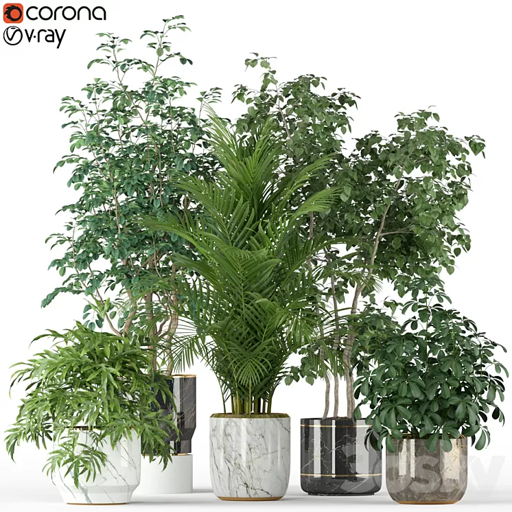 Plants collection 204 3D Model
