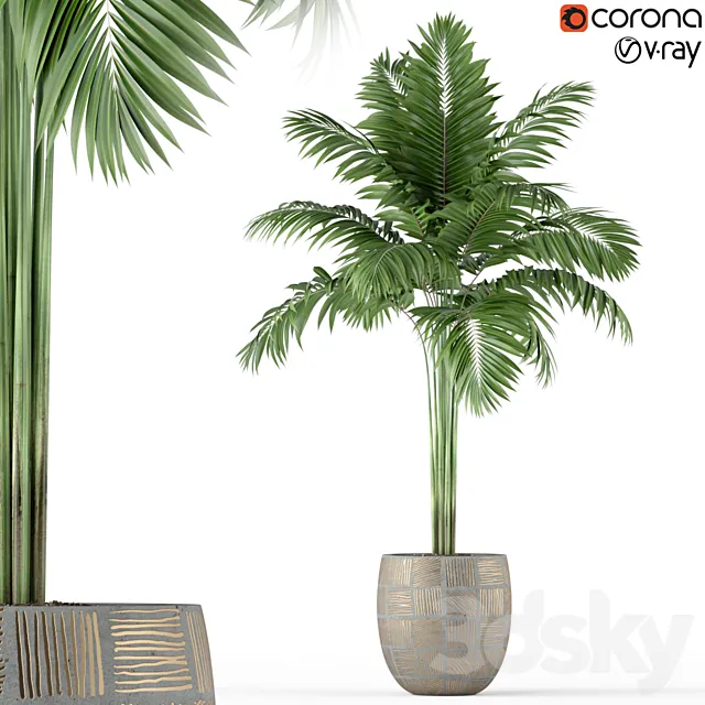 Plants collection 220 Free Download