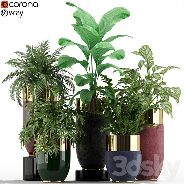 Plants collection 233 Longhi godwin 3D Model