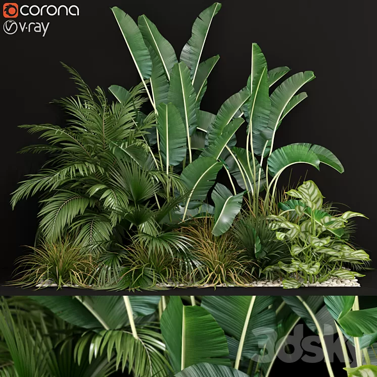 Plants collection 237 3D Model