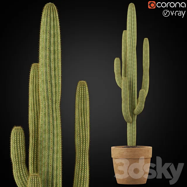 Plants collection 253 3DModel