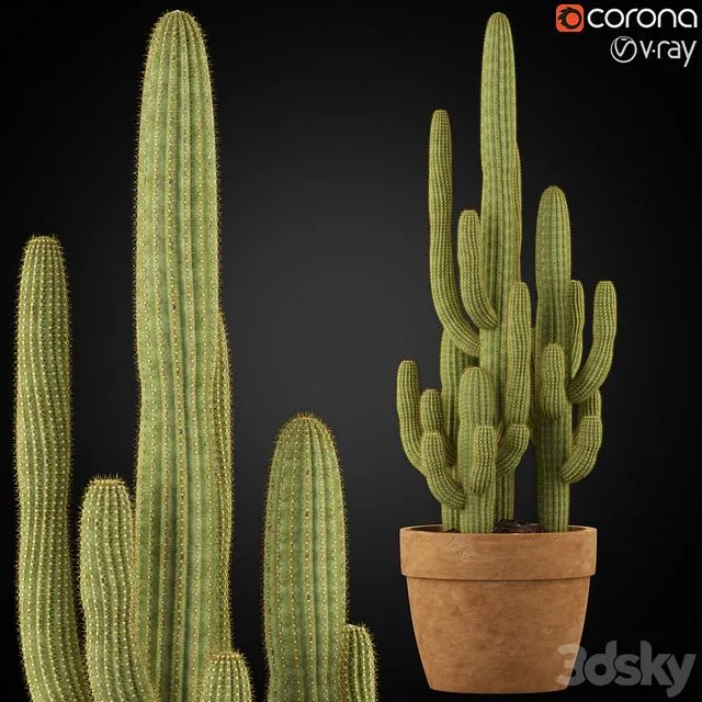 Plants collection 254 3D Model