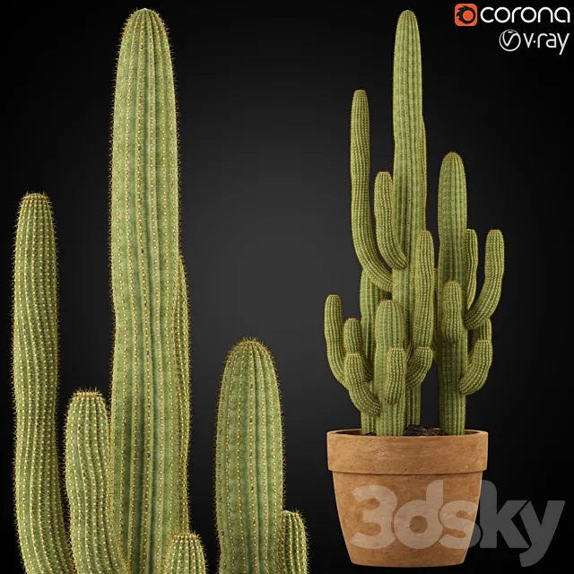 Plants collection 254 3D Model