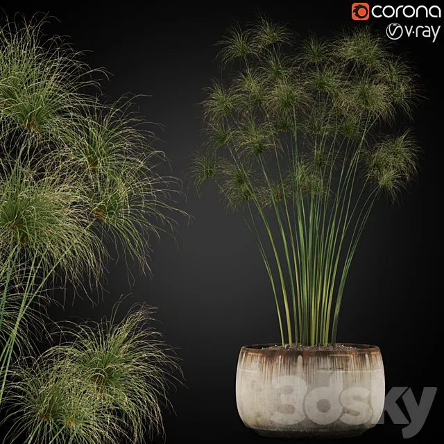 Plants collection 257 3DModel