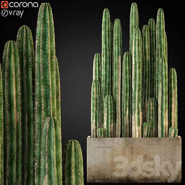 Plants collection 260 3DModel