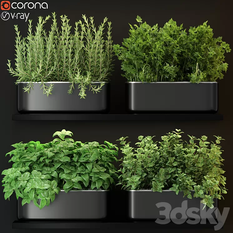 Plants collection 262 3D Model
