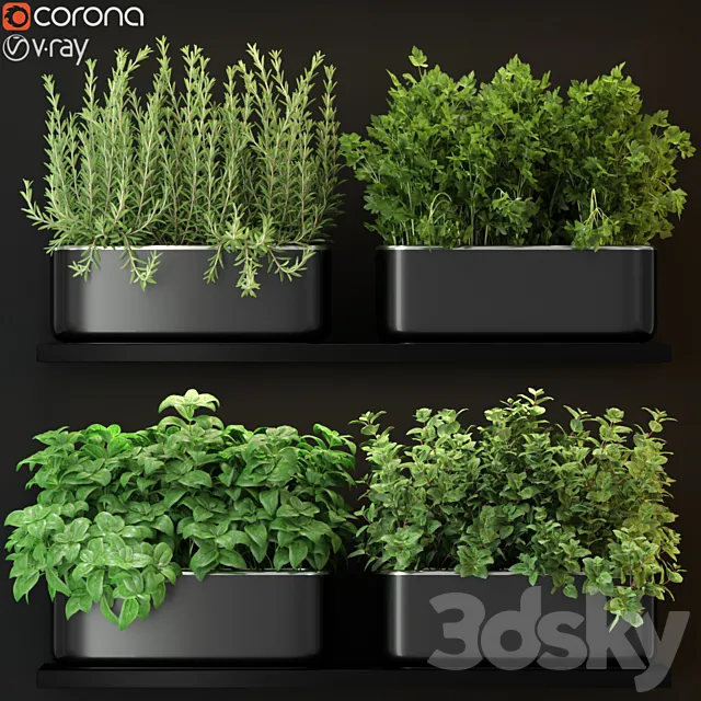 Plants collection 262 3DModel